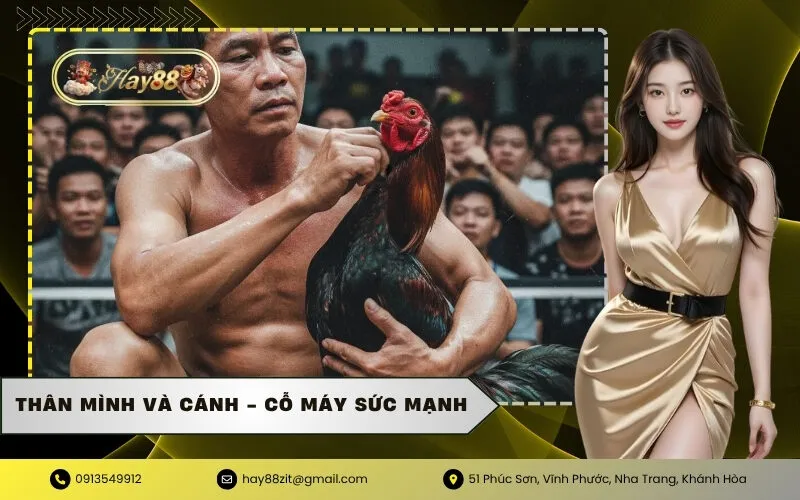Thân Mình Và Cánh - Cỗ Máy Sức Mạnh